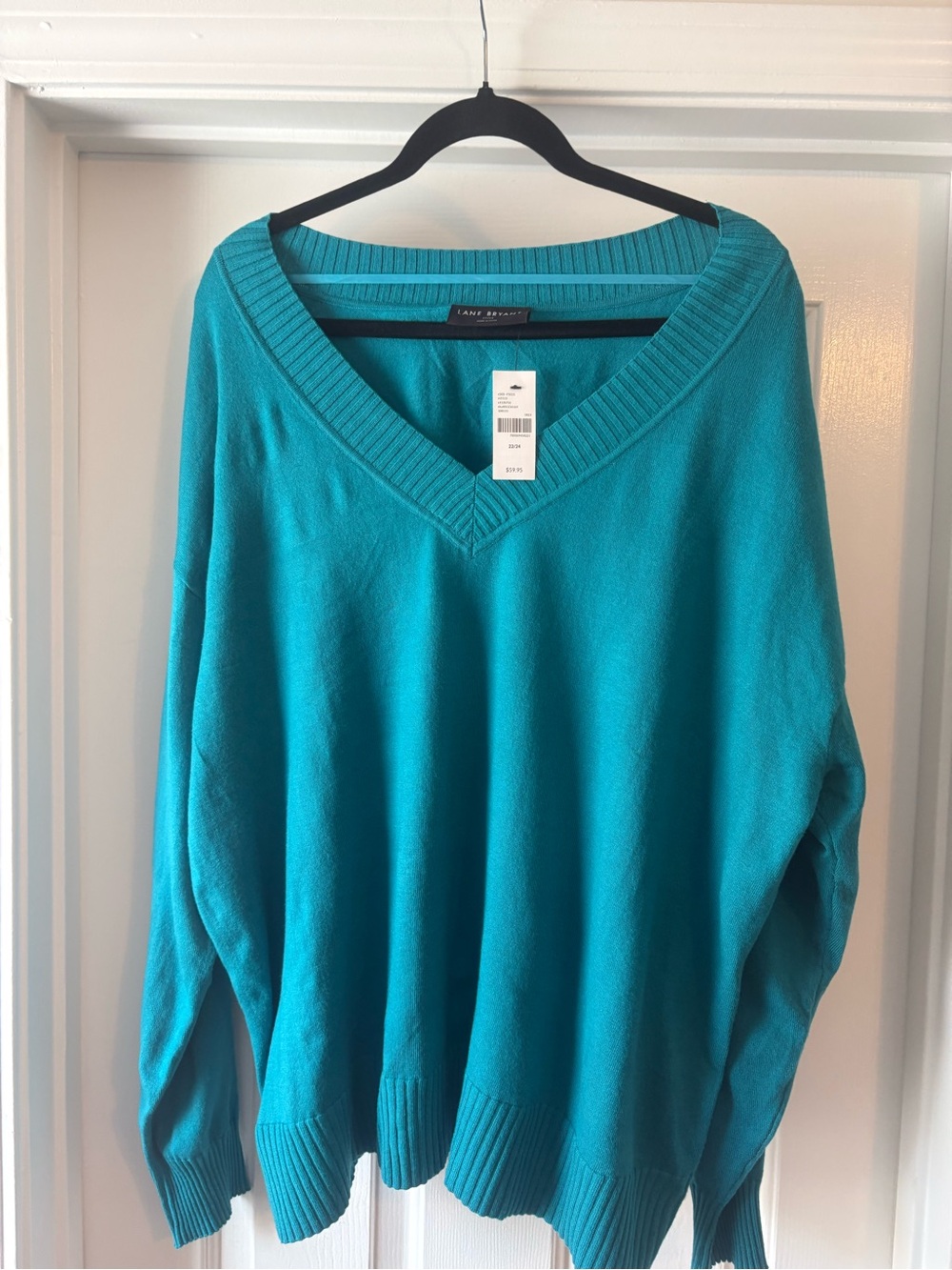 Lane Bryant Turquoise V-Neck Sweater